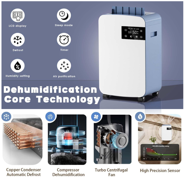 10L/D Dehumidifier with HEPA Filter, Low Energy Compressor with 2.5L Tank& Continuous Drainage, Digital Display/Timing/Sleep Mode/Purification/Humidity Setting, for Laundry Drying Basement